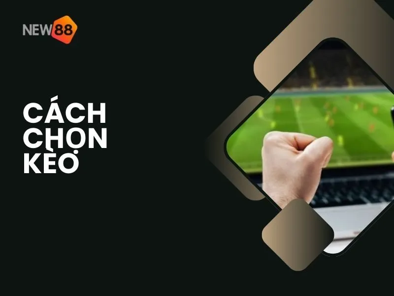 Cách chọn kèo