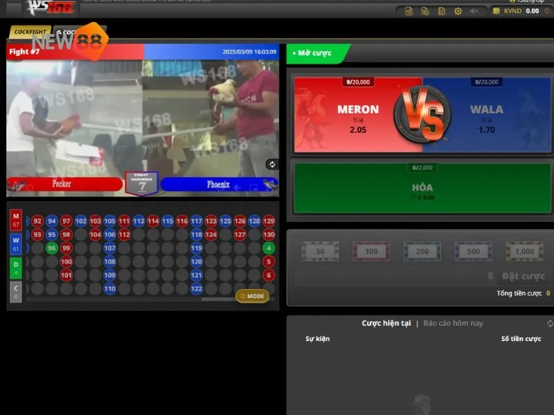 Đá gà New88 tổ chức chuyên nghiệp, bài bản