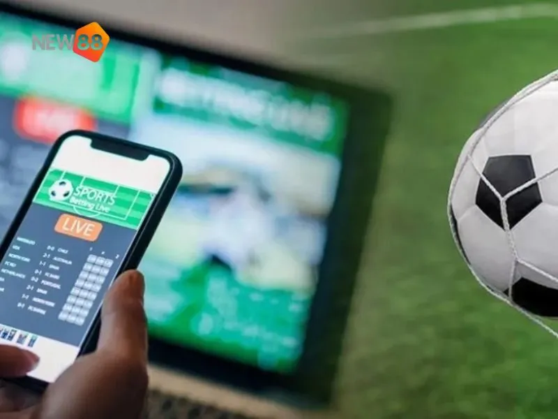 Tỷ lệ cược thập phân rất phổ biến trong cá độ hiện đại