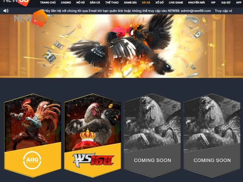 New88 là sân chơi đá gà trực tuyến nổi tiếng châu Á