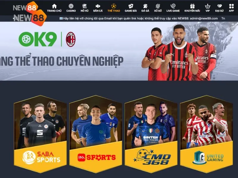 Thể thao New88 là nơi cung cấp rất nhiều kèo cược
