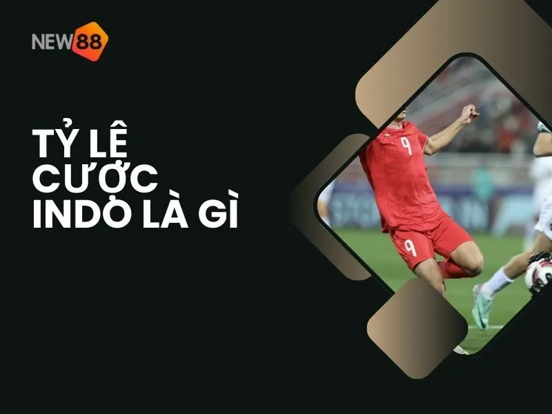 Tỷ lệ cược Indo là gì?
