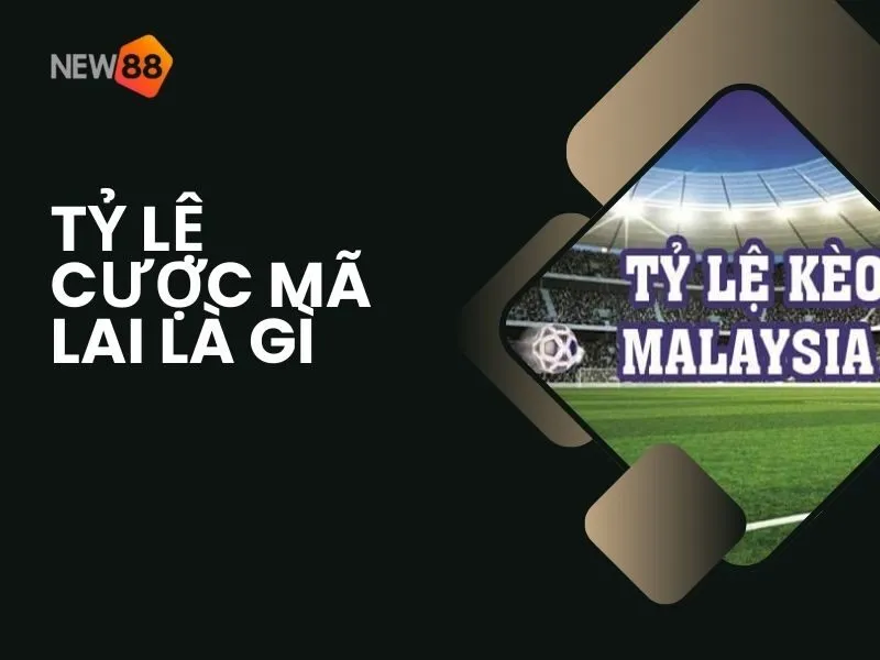 Tỷ lệ cược Mã Lai là gì