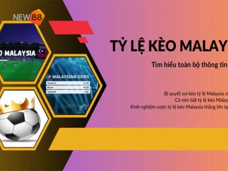 Tỷ lệ cược Mã Lai phổ biến trong kèo cược châu Á